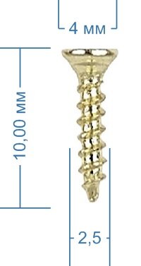 Шуруп с потайной головкой 2,5x10 мм, 100 шт